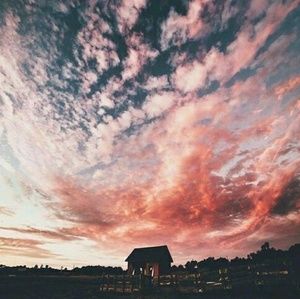 Meet your Posher, Jena